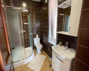 a bathroom with a shower and a toilet and a sink at Villa Zoryany Dvir in Skhidnitsa