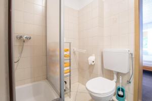 a bathroom with a toilet and a shower at Ferienhof Kluvetasch Appartement Nr 4 Ostseeblick in Rettin +13 photos