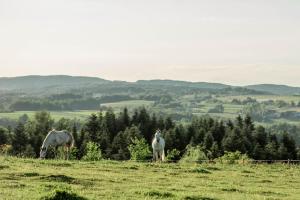 Příroda nedaleko farmy