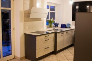eine Küche mit einer Spüle und einer Arbeitsplatte in der Unterkunft Hof Timmermann - Kuhstall in Ottenstein