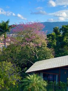 uma árvore com flores rosas ao lado de um edifício em Studios Altos da Igrejinha em Florianópolis