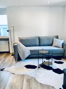 uma sala de estar com um sofá e um tapete em Nibelungen Boardinghouse 1 Zimmer Apartment em Lindenfels