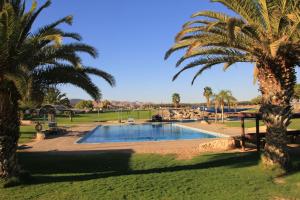 una piscina en un parque con palmeras en Kibbutz Lotan Eco-Campus 