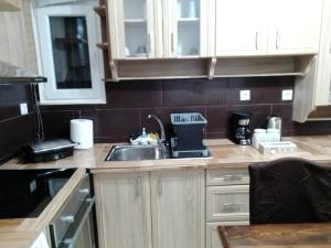 Kuchyň nebo kuchyňský kout v ubytování Precious Apartment