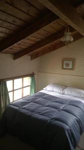 a bedroom with a large blue bed with a window at Posada del Buscador in El Bolsón