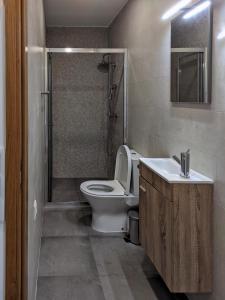 a bathroom with a toilet and a shower and a sink at Casa João Eusébio 2 in Ponte de Lima