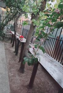 Jardí fora de ENEDE HOSTEL