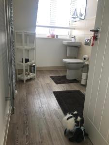 a bathroom with a black and white cat laying on the floor at Smith's Loft in Chichester