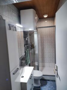 een badkamer met een wastafel, een toilet en een douche bij Zentrale Lage in Bad Ischl - Top 4 in Bad Ischl