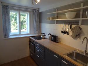 a kitchen with a counter and a sink and a window at Apartment Haarlem Gosau in Gosau