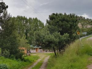 a dirt road with trees on the side of a road at Cabaña La Camelia in Creel