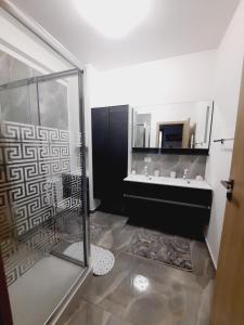 uma casa de banho com um chuveiro, um lavatório e um espelho. em Apartament Panorama Baile Felix em Baile Felix