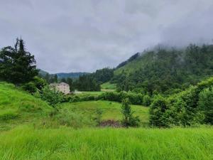 a green hill with a house in the middle of a field at Aleu - Apuseni Mountains in Pietroasa