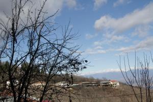 vistas a un edificio sobre una colina con árboles en budabu, en Signagi