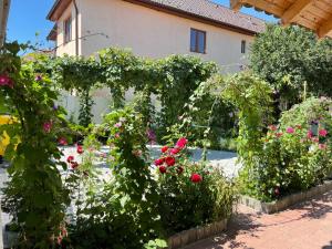 un jardín con rosas rojas y un edificio en Chic Home en Sibiu