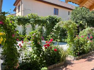 a garden with red roses and a building at Chic Home in Sibiu