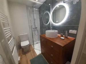 La salle de bains est pourvue d'un lavabo et d'une douche avec un miroir. dans l'établissement Classé 3 Etoiles IDEAL VIENNE Centre ville 20 min de LYON, à Vienne