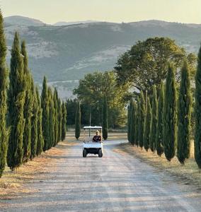 un homme conduisant une voiturette de golf sur une route arborée dans l'établissement Ca' Del Conte, à Padula