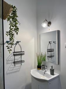 a bathroom with a sink and a mirror and a plant at Chic Home in Sibiu