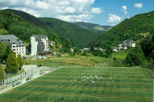 a group of people playing soccer on a soccer field at Hotel Junior in Kopaonik