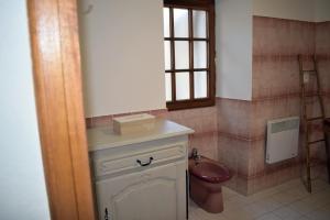 een badkamer met een toilet en een doos op een aanrecht bij Chambre d'hôtes Auriac du Périgord in Auriac-du-Périgord