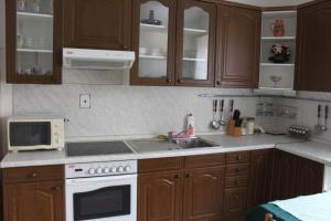 una cucina con armadi in legno, lavandino e forno a microonde di Domek u lesa a Bítov