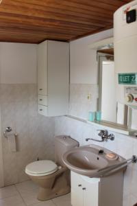 a bathroom with a toilet and a sink at Domek u lesa in Bítov