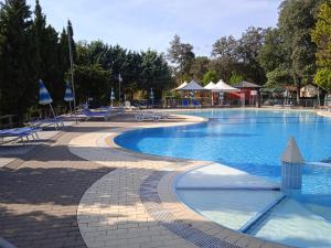 una grande piscina con sedie e ombrelloni di Mobile home Comfort Viareggio - Including airco -Camping Paradiso- R028 a Viareggio