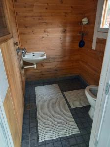 a bathroom with a toilet and a sink at Aatami in Kangasniemi