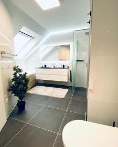 ein Bad mit einer Dusche, einem Waschbecken und einem WC in der Unterkunft Auf der Alm 21 in Baden-Baden