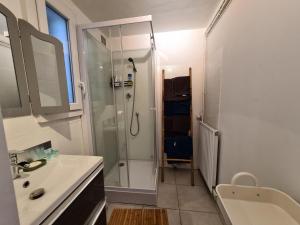 a bathroom with a shower and a sink at L'EssenCiel du Lac in Éguzon-Chantôme