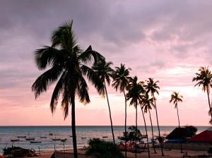a group of palm trees on a beach with the ocean at Zanzicrown in Nungwi
