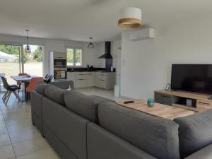 a living room with a gray couch and a television at L'Epicurienne in Simandre