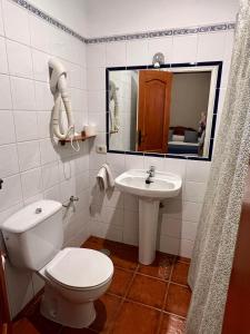 La salle de bains est pourvue de toilettes, d'un lavabo et d'un miroir. dans l'établissement Finca La Romera, à La Orotava