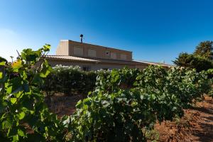 a house with a cross on top of a vineyard at Les Terres Rouges in Aléria