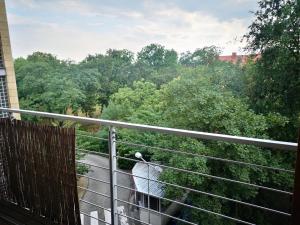 una persona parada en un balcón con vistas a los árboles en Apartament Marzenie 11 - Opole, en Opole