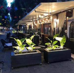 Hotel Del Corso