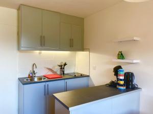 Kuchyňa alebo kuchynka v ubytovaní Duplex 6 pers avec balcon plein sud à Villard-de-Lans, proche village et navettes gratuites - FR-1-515-130