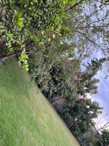 Φωτογραφία από το άλμπουμ του ArushaWest σε Arusha