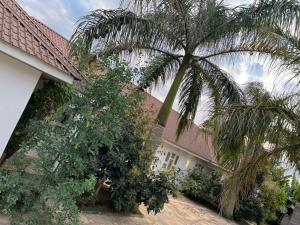 un palmier devant une maison dans l'établissement ArushaWest, à Arusha