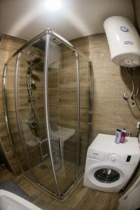 y baño con cabina de ducha y lavadora. en APARTMAN TEA 3, en Čukarica