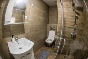 a bathroom with a toilet and a sink and a shower at APARTMAN TEA 3 in Čukarica