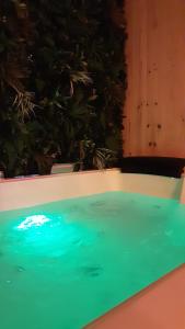 a pool of blue and green water next to a plant at HOTEL DU BERRY - Loveroom avec Sauna, Hammam, Jacuzzi privatifs in Reuilly