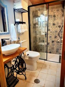 a bathroom with a shower and a toilet and a sink at Quinta do Cabril in Serpins