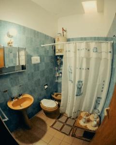 y baño con aseo, lavabo y ducha. en Raices Andinas en Tinogasta