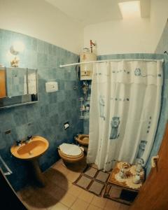 a bathroom with a toilet a sink and a shower at Raices Andinas in Tinogasta