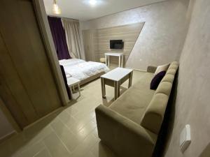 TV a/nebo společenská místnost v ubytování HOTEL CHARk