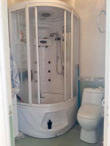a bathroom with a shower and a toilet at Doctor's House in Gyumri
