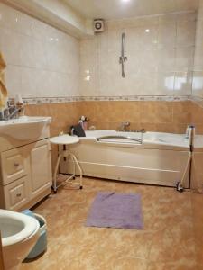 a bathroom with a tub and a sink and a toilet at Doctor's House in Gyumri