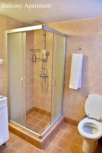 a bathroom with a shower stall and a toilet at Hydra Port Apartments in Hydra